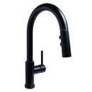 Single Handle Pull Down Kitchen Faucet in Matte Black