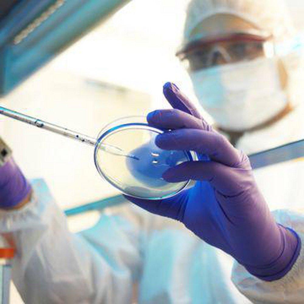 Kimberly Clark Purple 6 mil Rubber Laboratory Disposable Gloves in Purple 