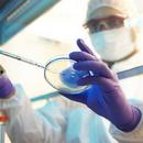 Kimberly Clark Purple 6 mil Rubber Laboratory Disposable Gloves in Purple 