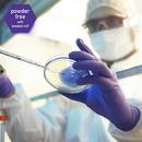 Kimtech&trade; Purple 6 mil Rubber Laboratory Disposable Gloves in Purple 