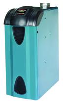 U.S. Boiler Company Blue Residential Water/Steam Boiler Natural Gas 