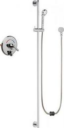 Chicago Faucets Polished Chrome Single Handle Shower Faucet 