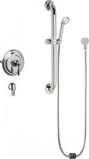 Chicago Faucets Polished Chrome Single Handle Shower Faucet 