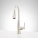Signature Hardware Stainless Steel Single Handle Pull Down Kitchen Faucet