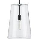 60W 1-Light Medium E-26 Incandescent Pendant Light in Matte Black