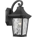 60W 1-Light 13 in. Textured Black Outdoor Wall Sconce