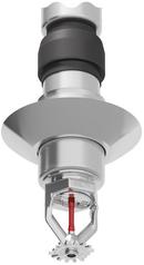 Victaulic Stainless Steel Escutcheon 