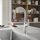 BLANCO PVD Steel Single Handle Pull Down Kitchen Faucet 