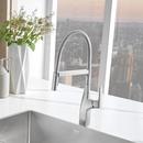 BLANCO PVD Steel Single Handle Pull Out Kitchen Faucet 