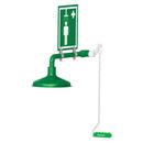 Justrite Green 316L Stainless Steel Ring Main Drench Shower in Green Powder Coat 