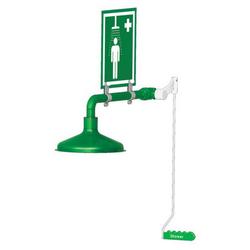 24-2/5 in. 316L Stainless Steel Ring Main Drench Shower in Green Powder Coat