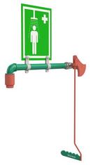 Drench Shower, Ring Main Mount 