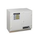 Undercounter Corrosives/Acid Safety Cabinet 