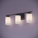 Millennium Lighting Matte Black 3-Light Vanity Fixture 