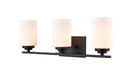 Millennium Lighting Matte Black 3-Light Vanity Fixture 