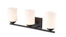 Millennium Lighting Matte Black 3-Light Vanity Fixture 
