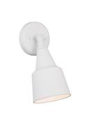 Visual Comfort & Co. Generation Lighting White 120 W 1 Light Flood Light 