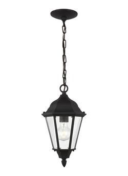 100W 1-Light Medium E-26 Outdoor Pendant in Black