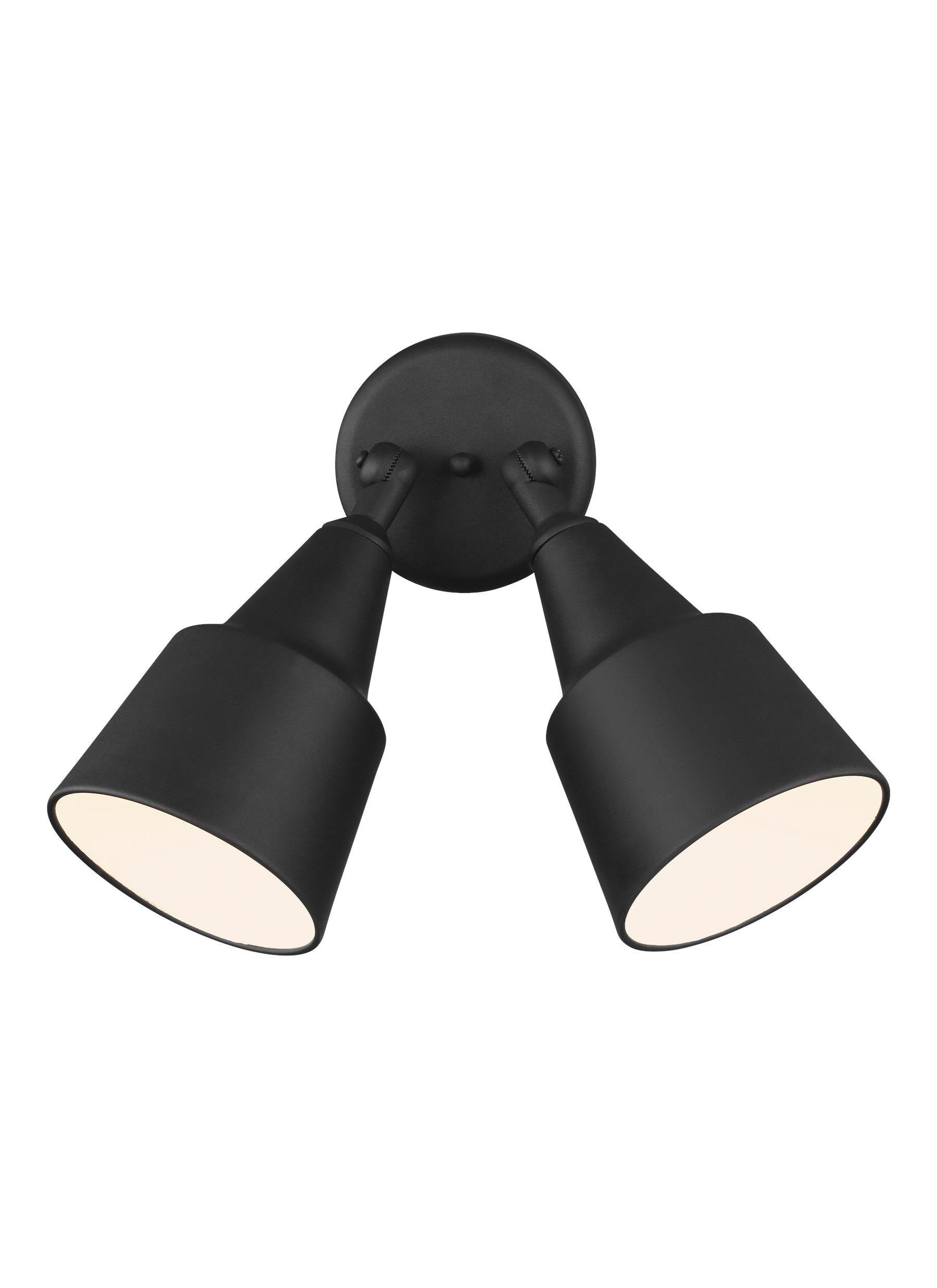Visual Comfort & Co. Generation Lighting Black 120 W 2 Light Flood Light 