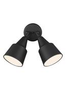 Visual Comfort & Co. Generation Lighting Black 120 W 2 Light Flood Light 