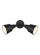 Visual Comfort & Co. Generation Lighting Black 120 W 2 Light Flood Light 