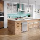 Avallon Stainless Steel 5.5 cu. ft. Built-in and Freestanding Refrigerator 