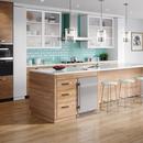 Avallon Stainless Steel 5.5 cu. ft. Built-in and Freestanding Refrigerator 