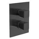 Two Handle Thermostatic Valve Trim in Brushed Black