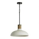 Capital Lighting Dark Pewter 60W 1-Light Medium E-26 Pendant 