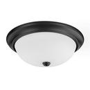 HomePlace by Capital Lighting Matte Black 60W 3-Light Medium E-26 Incandescent Flush Mount Ceiling Fixture 