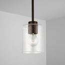 HomePlace by Capital Lighting Bronze 100W 1-Light Medium E-26 Incandescent Pendant 