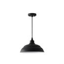Capital Lighting Black 100W 1-Light Medium E-26 Incandescent Outdoor Pendant 