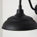 Capital Lighting Black 100W 1-Light Medium E-26 Incandescent Outdoor Pendant 