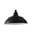 Capital Lighting Black 100W 1-Light Medium E-26 Incandescent Outdoor Pendant 