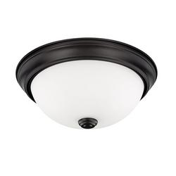 11 in x 4-1/2 in. 60W 2-Light Incandescent Flush Mount Ceiling Fixture in Matte Black