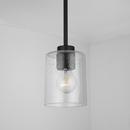HomePlace by Capital Lighting Matte Black 100W 1-Light Medium E-26 Incandescent Pendant 