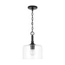 HomePlace by Capital Lighting Matte Black 100 W 1 Light Medium E-26 Incandescent Pendant 