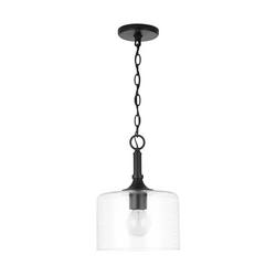 100 W 1 Light Medium E-26 Incandescent Pendant in Matte Black