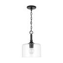 HomePlace by Capital Lighting Matte Black 100 W 1 Light Medium E-26 Incandescent Pendant 