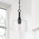 HomePlace by Capital Lighting Matte Black 100 W 1 Light Medium E-26 Incandescent Pendant 