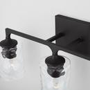 Capital Lighting Black Iron 100W Medium Vanity Fixture in Black Iron 