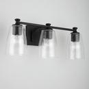 HomePlace by Capital Lighting Matte Black 100W 3-Light Medium Vanity Fixture 