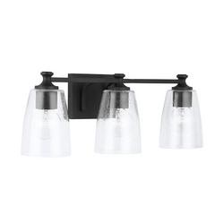 100W 3-Light Medium Vanity Fixture in Matte Black