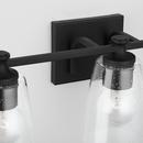 HomePlace by Capital Lighting Matte Black 100W 3-Light Medium Vanity Fixture 