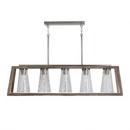 Capital Lighting Black/Matte Nickel 60W 5-Light Medium E-26 Pendant 