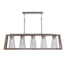 Capital Lighting Black/Matte Nickel 60W 5-Light Medium E-26 Pendant 