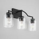 HomePlace by Capital Lighting Matte Black 100W 3-Light Medium Vanity Fixture 