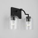 HomePlace by Capital Lighting Matte Black 100W 2-Light Medium E-26 Vanity Fixture 