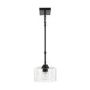 HomePlace by Capital Lighting Matte Black 100W 1-Light Medium E-26 Incandescent Pendant 
