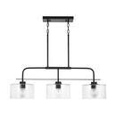 HomePlace by Capital Lighting Matte Black 100W 1-Light Medium E-26 Incandescent Pendant 